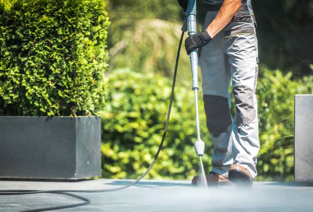 Best Roof Washing  in Elgin, SC