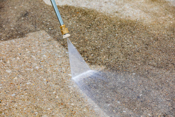 Best Gutter Cleaning  in Elgin, SC
