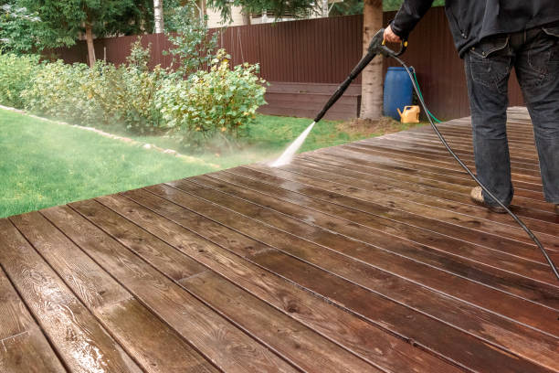 Animal Enclosure Cleaning in Elgin, SC